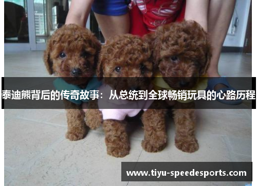 泰迪熊背后的传奇故事：从总统到全球畅销玩具的心路历程