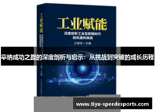 辛纳成功之路的深度剖析与启示：从挑战到突破的成长历程